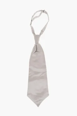 Online Cravatta Ascot da Cerimonia in Seta a Tinta Unita Uomo Cravatte