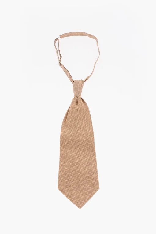 Cravatta Ascot in Seta a Tinta Unita>Corneliani New