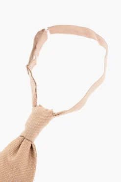 Cravatta Ascot in Seta a Tinta Unita>Corneliani New