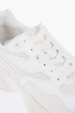 Online CROQUIS Sneakers Basse in Mesh E Suede a Tinta Unita Uomo Sneaker