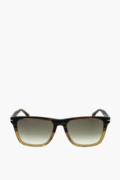 Occhiali da Sole Wayfarer con Dettaglio Tartarugato>David Beckham Best