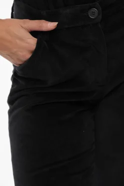 Pantaloni Chino PENNY in Velour></noscript>True Royal Outlet