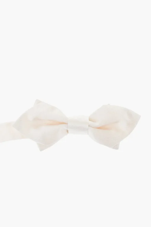 Discount Papillon Cerimonia in Satin di Seta Uomo Cravatte
