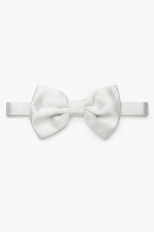 Papillons da Annodare in Satin>Corneliani Hot