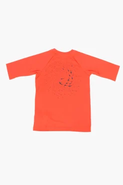 Sale T-shirt Stampa Squali Bambino Abbigliamento